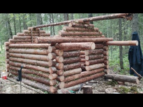 Видео: Изба в тайге строится, подняли стопу. Жизнь в тайге.