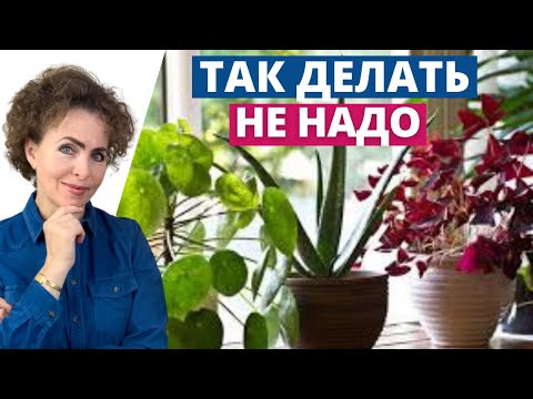 Видео: Ошибки ухода за цветами. Золотые правила ухода.
