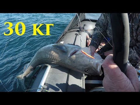 Видео: Баренцево море / Трофейная рыбалка / Barents sea / Trophy fishing