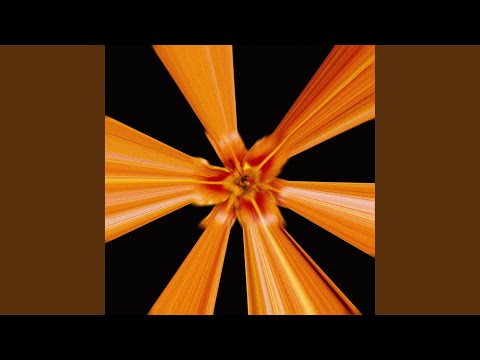 Видео: Всё равно