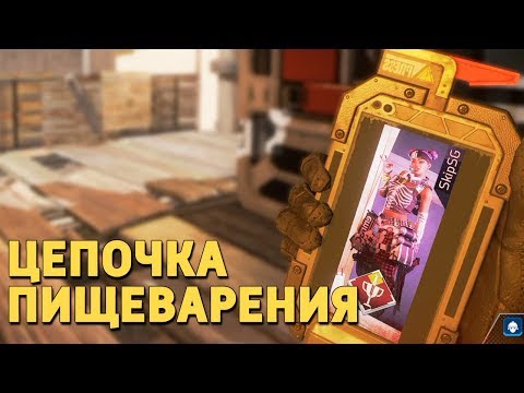Видео: Цепочка пищеварения /Apex Legends