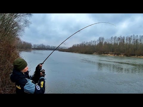 Видео: Как ловить пассивного судака в декабре по холодной воде? Ловля судака на джиг в декабре 2021!