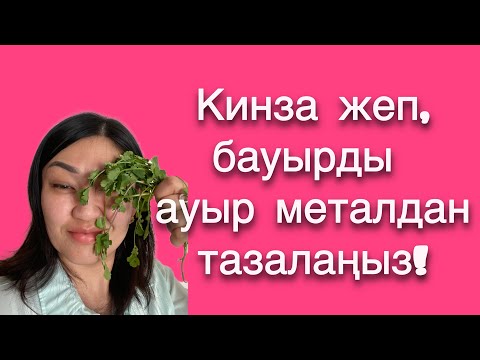 Видео: Кинзаның құдіреті қандай? Бауыр тазалау #Кинзаның пайдасы