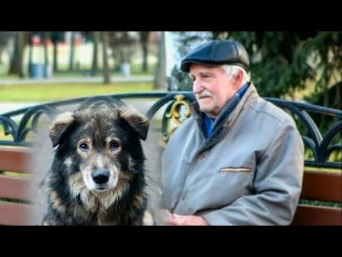 Видео: - Нет моей Масяни больше, убили её, - горестно заплакал старик…