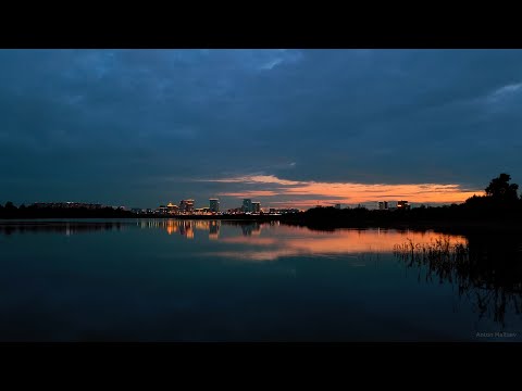 Видео: Тюмень. Летний вечер в Гагаринском парке. 2024 | Cinematic Video | Night Forest |