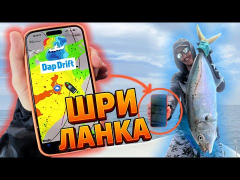 Видео: Dap Drift PRO сделал эту рыбалку! ЕСЛИ РЫБАЛКА НА ШРИ-ЛАНКЕ, ТО ТОЛЬКО ТАКАЯ