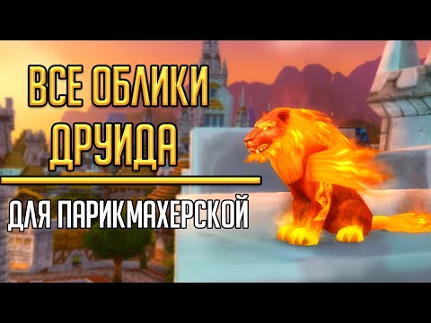 Видео: ПОЛУЧЕНИЕ ВСЕХ ОБЛИКОВ в парикмахерскую для друида в World of Warcraft! Кастомизация обликов друида
