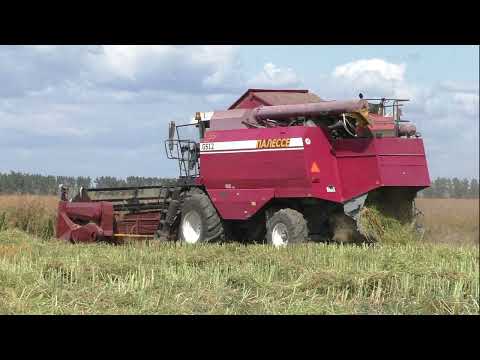 Видео: уборка рапса - канолы комбайнами  полесье gs 12. John Deere 9640