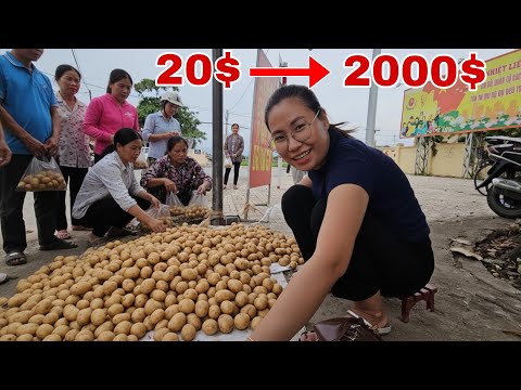 Видео: Начать бизнес с 20 долларов, пойти на рынок поздно ночью в одиночку, результат... Семья Ламбо