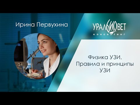 Видео: Физика УЗИ. Правила и принципы УЗИ. Лектор Ирина Первухина. #убвк_инструментальная_диагностика