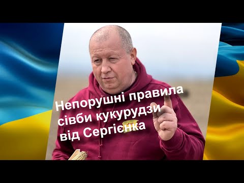 Видео: Непорушні правила сівби кукурудзи від Сергієнка.