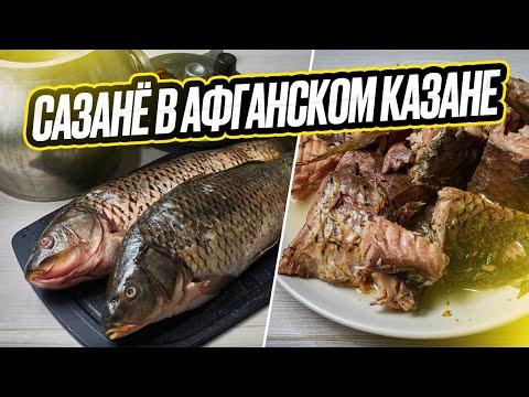Видео: Сазан в афганском казане
