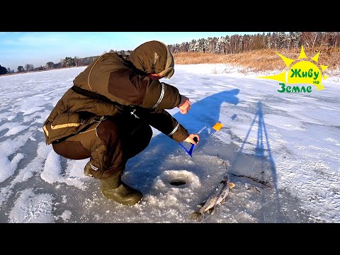 Видео: Первый Лёд! Ловля на Жерлицы. Оснастка Работает Безотказно!