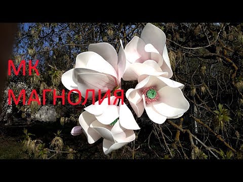 Видео: Мастер класс Магнолия из изолона / фоамирана