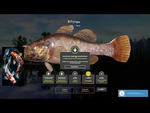 Видео: Старый острог  Трофейный Ротан