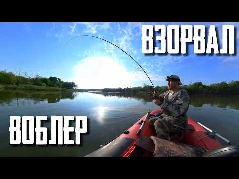 Видео: 🔴 ДА СКОЛЬКО ЖЕ ЩУКИ В ЭТОМ УГЛУ Рыбалка на спиннинг в заросшем пруду превзошла все ожидания!💥🔥👍