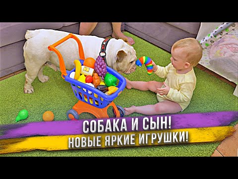 Видео: Новые игрушки заинтересовали не только ребенка, но и нашу собаку!
