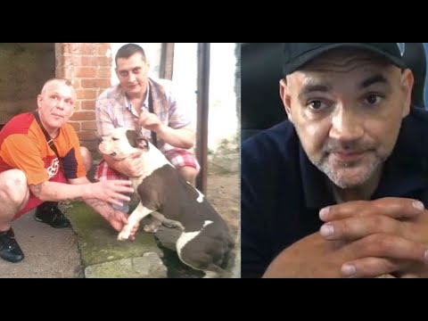 Видео: КЛИМ ЗНАЛ ЧТО УМРЕТ. ГНИЛАЯ СОЛОМА. ОТКРОВЕНИЯ ЩАДИЛО