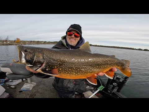 Видео: Лучшая в мире пресноводная рыба: ловля и приготовление