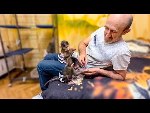 Видео: СМЕХОТА! Степашка, Маняшка, Люся и Влад ДЕЛЯТ ФИСТАШКИ!