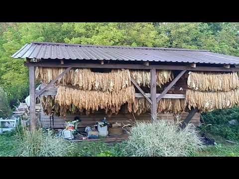 Видео: Сезон закрыт.