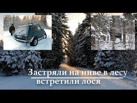 Видео: Покатушки на ниве/красота зимнего леса