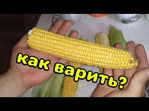 Видео: Как ВКУСНО сварить КУКУРУЗУ - самый ЧЕСТНЫЙ способ (простой СЕКРЕТ)