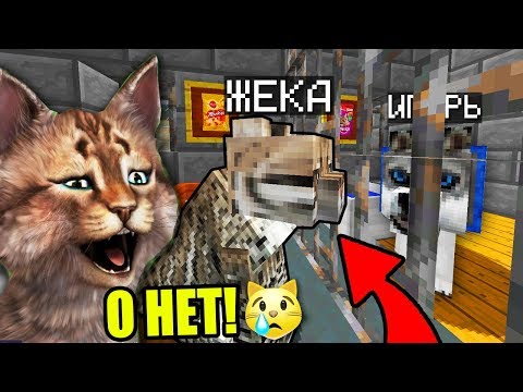 Видео: КОТА И ПСА ПОСАДИЛИ В ПРИЮТ ДЛЯ ЖИВОТНЫХ!  ЖИЗНЬ ЖИВОТНЫХ В MINECRAFT