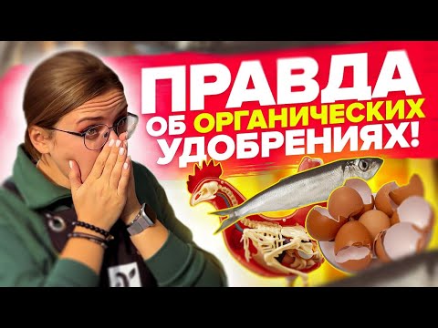 Видео: ВСЕ ЧТО НУЖНО ЗНАТЬ ОБ ОРГАНИЧЕСКИХ УДОБРЕНИЯХ! НАВОЗ, КОМПОСТ, КОСТНАЯ МУКА