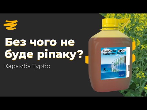 Видео: ТОПОВИЙ РІСТРЕГУЛЯТОР ФУНГІЦИД НА РІПАК. КАРАМБА ТУРБО