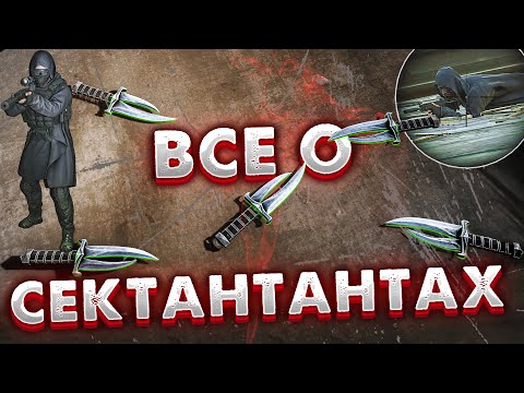 Видео: Все о Сектантах (Культистах) 🎥 Полный и актуальный гайд