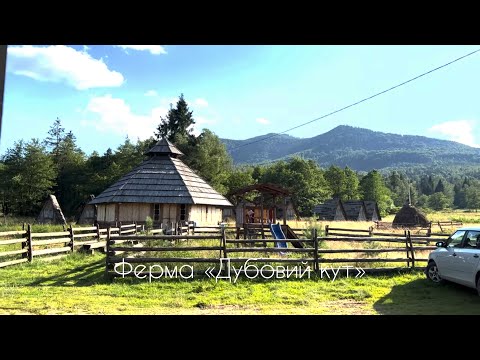 Видео: Бойківські забобони, ферма Дубовий кут та  болото Ширковець.