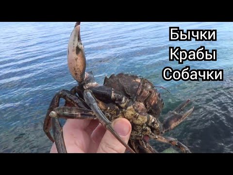Видео: Где ловить когда не клюет с пирса?ловля бычка на Черном море.