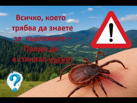 Видео: Кърлежът: Малкият убиец, който дебне в тревата!