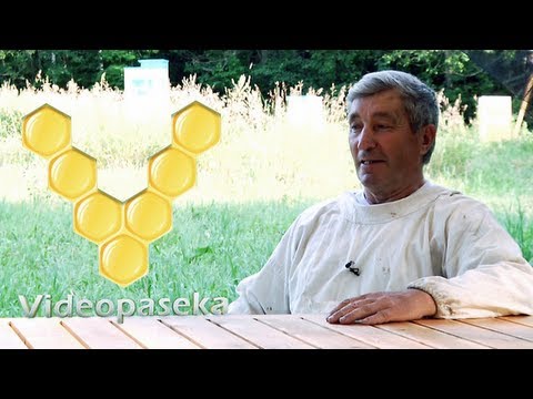 Видео: Беседы о пчеловодстве на пасеке (продолжение)