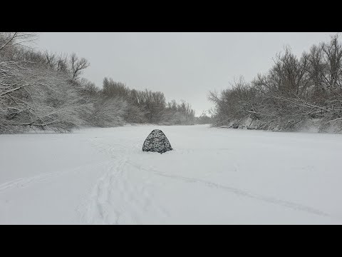 Видео: 3 дня рыбалки на реке Самара. Тоцкое. Здесь лёгкой рыбы нет! Сезон 2023 открыт