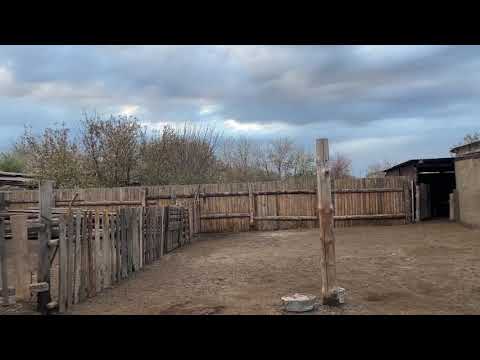 Видео: 17 октября 2025 г.