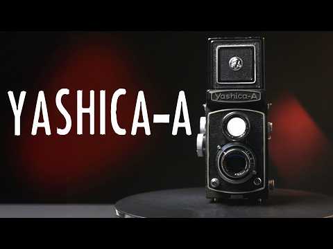 Видео: Yashica A TLR — просто супер! | Kentmere Pan 100, Ilford XP2 и Kodak Gold 200
