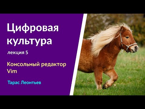 Видео: Цифровая культура - y2023 л5 - Тарас Леонтьев - Консольный редактор Vim