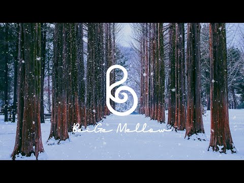 Видео: Зимний лес со свежим снегом 🌲❄ уютный и удобный плейлист на фортепиано