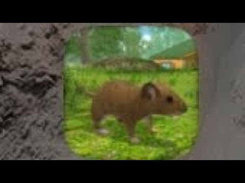 Видео: Играю в игру симулятор мышь часть 2