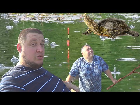 Видео: РЫБАЛКА В НЕПОГОДУ или СЛОВИЛИ ЧЕРЕПАХУ-ИНВАЛИДА