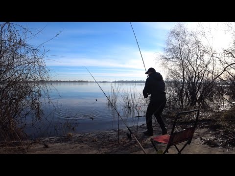 Видео: Фідерна рибалка в Києві на Дніпрі. Риба Клює! Ранковий виїзд. Рибалка Київ 2024.