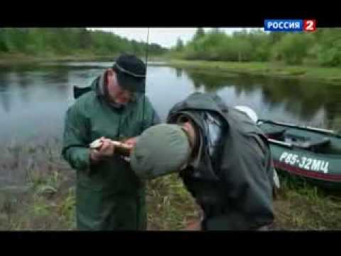 Видео: Диалоги о рыбалке. Вологодская область. Часть 2.