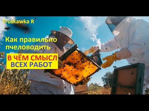 Видео: Хотите много #пчёл и мёда на пасеке? Тогда нужно понять смысл работ пасечника. Этапы пчеловождения.