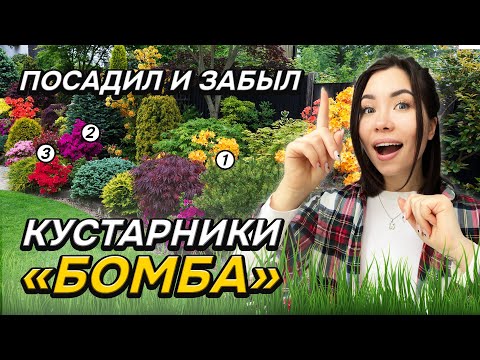 Видео: 💥10 кустарников которым ВООБЩЕ НЕ нужен уход