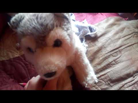 Видео: Почему львицы не свергли Шрама до Симбы?(теория), ещё обращение.