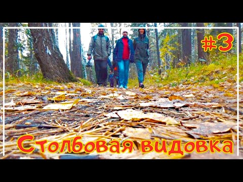 Видео: Столбовая видовка /Канатная дорога /Бобровый лог /Красноярск #3-3