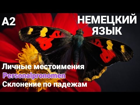 Видео: Урок 1. Personalpronomen. Личные местоимения в Dat. и Акк. А2. Немецкий для начинающих.