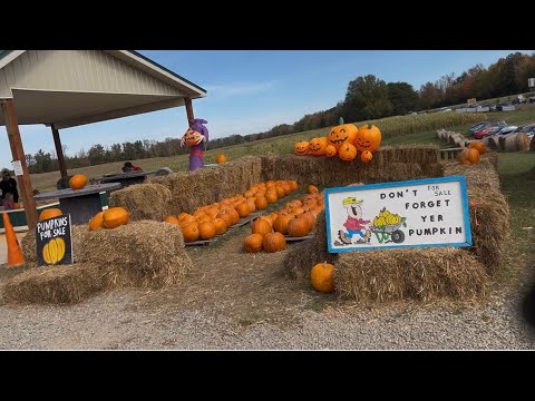 Видео: Пойдемте с нами на тыквенную плантацию Харвест-Ридж!